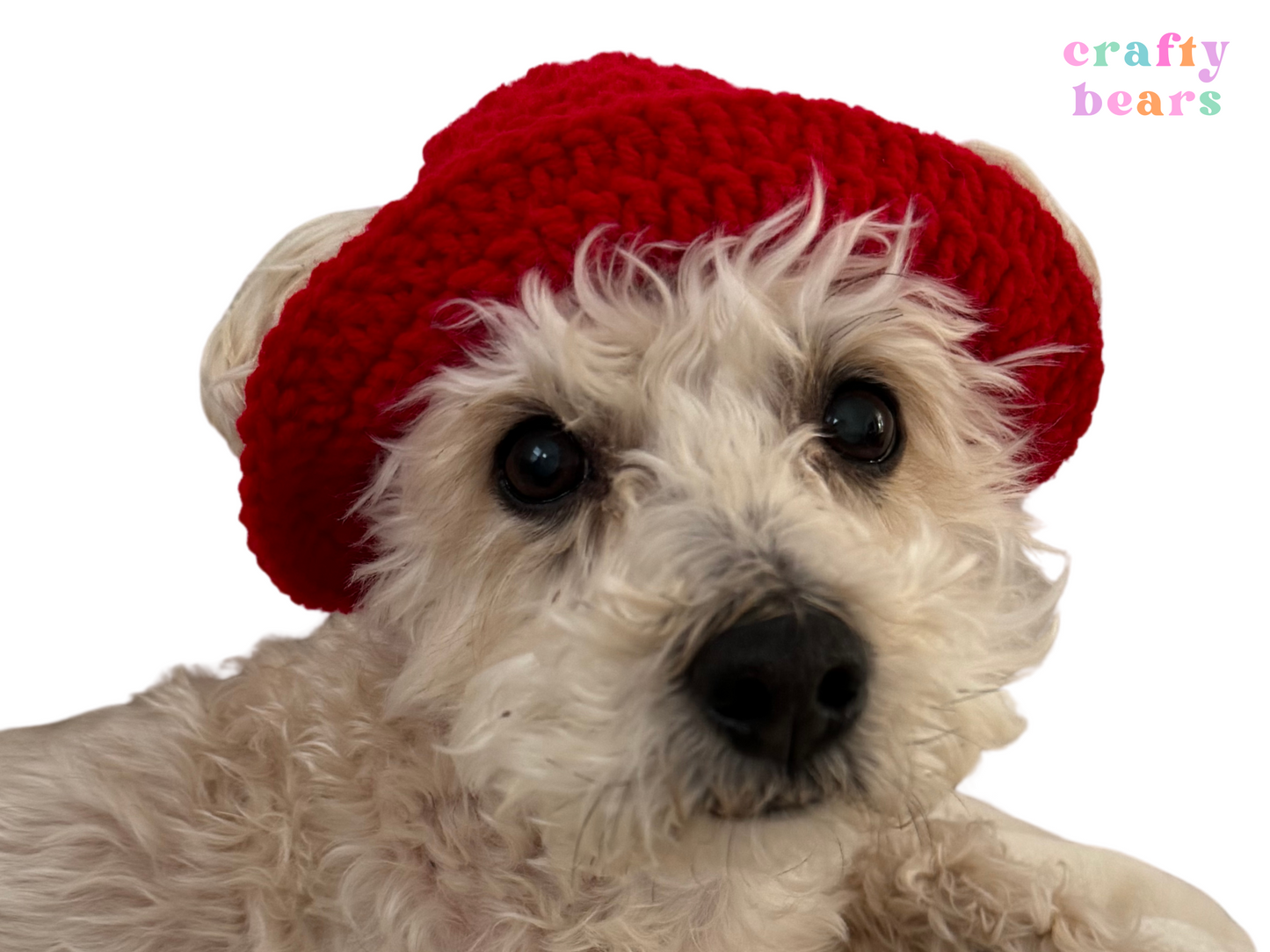 Pawsitively Adorable: Handmade Crochet Pet Bucket Hat