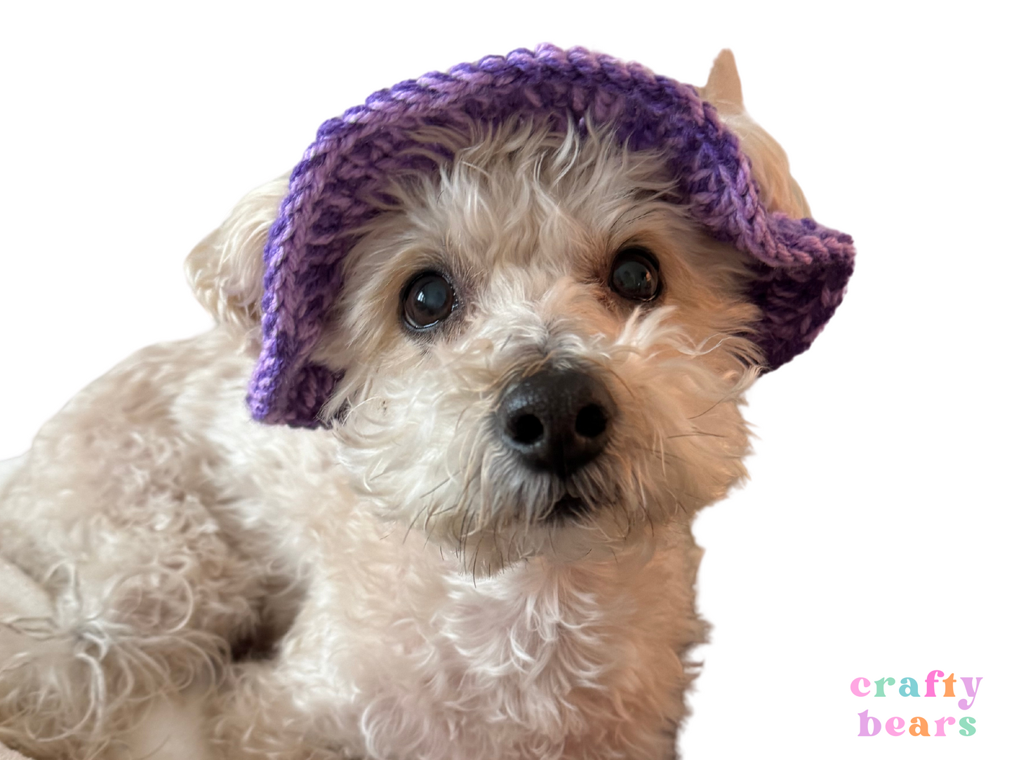 Pawsitively Adorable: Handmade Crochet Pet Bucket Hat