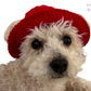 Pawsitively Adorable: Handmade Crochet Pet Bucket Hat