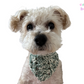 Handmade Crochet Pet Bandana - Stylish Accessory for Your Furry Friend